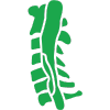 Spinal Stenosis